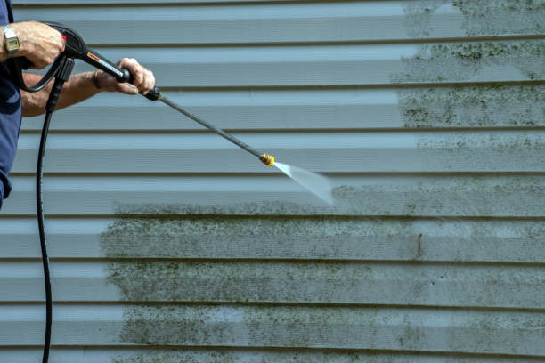 Trusted Magnolia Springs, AL Pressure Washing Experts
